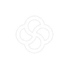 NowfinAI Logo